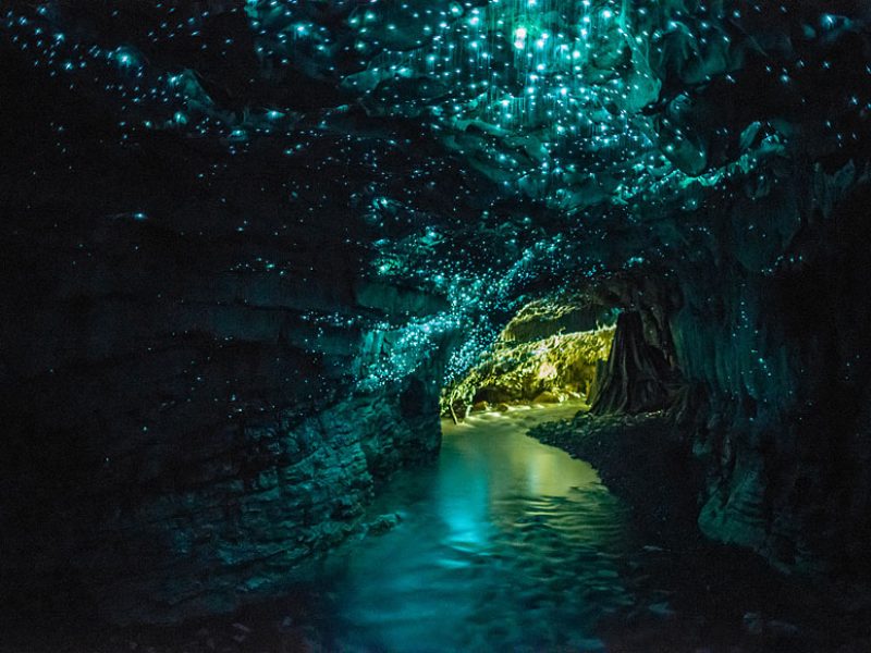 Waitomo Caves